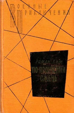 Роман Ким По прочтении сжечь. Тетрадь, найденная в Сунчоне обложка книги