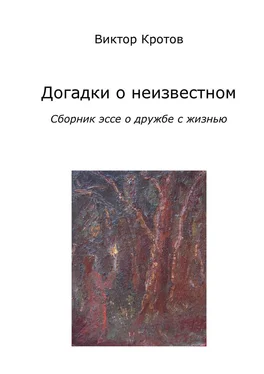 Виктор Кротов Догадки о неизвестном. Сборник эссе о дружбе с жизнью обложка книги