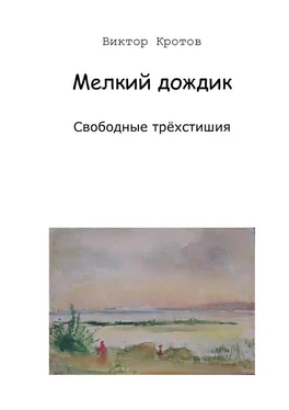 Виктор Кротов Мелкий дождик. Свободные трёхстишия обложка книги