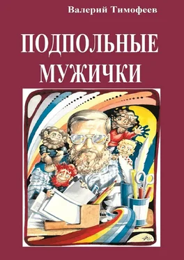 Валерий Тимофеев Подпольные мужички. В музыкальном доме обложка книги