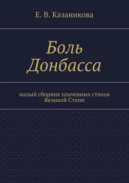 Е. Казаникова Боль Донбасса. малый сборник плачевных стихов Великой Степи обложка книги