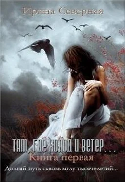 Ирина Северная Там, где холод и ветер (СИ) обложка книги