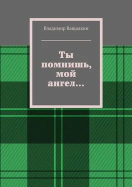 Владимир Ващалкин Ты помнишь, мой ангел… обложка книги