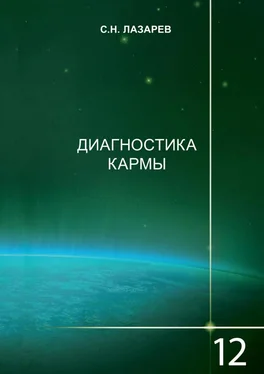 Сергей Лазарев Диагностика кармы. Книга 12. Жизнь как взмах крыльев бабочки обложка книги