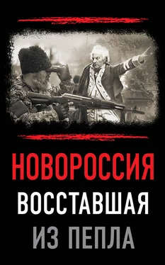 Array Сборник статей Новороссия. Восставшая из пепла обложка книги