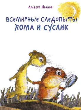 Альберт Иванов Всемирные следопыты Хома и Суслик (сборник) обложка книги