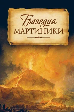 Николай Посадский Трагедия Мартиники. Знамения времени зовут нас к покаянию. Из дневниковых записей архиепископа Никона (Рождественского) обложка книги