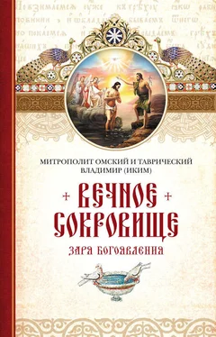 Митрополит Владимир (Иким) Вечное сокровище. Заря Богоявления обложка книги