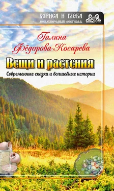 Галина Фёдорова-Косарева Вещи и растения обложка книги