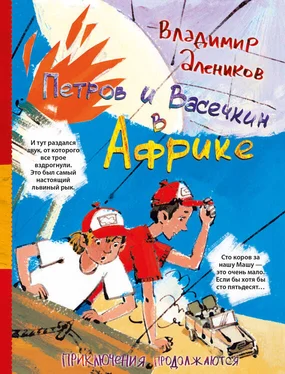 Владимир Алеников Петров и Васечкин в Африке. Приключения продолжаются обложка книги