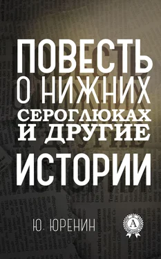 Юрий Юренин Повесть о Нижних Сероглюках и другие истории обложка книги