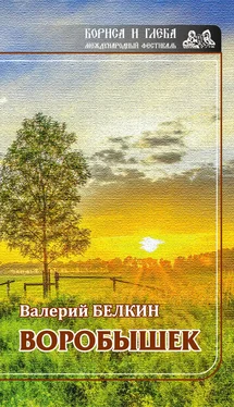 Валерий Белкин Воробышек обложка книги