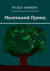 My.Self. Harmony. - Маленький Принц