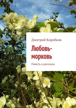 Дмитрий Коробков Любовь-морковь. Повесть в рассказах обложка книги