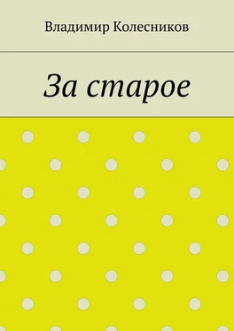 Владимир Колесников За старое обложка книги