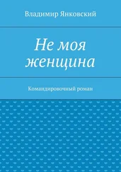 Владимир Янковский - Не моя женщина. Командировочный роман