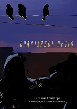 Виталий Гринберг Счастливое нечто обложка книги