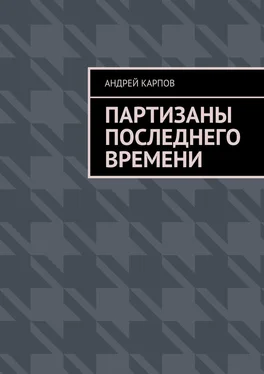 Андрей Карпов Партизаны последнего времени обложка книги