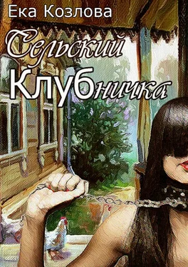 Ека Козлова Сельский КЛУБничка обложка книги