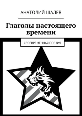 Анатолий Шалев Глаголы настоящего времени. Своевременная поэзия обложка книги