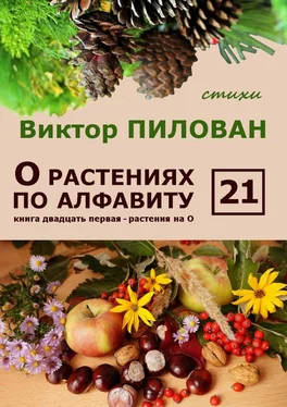 Виктор Пилован О растениях по алфавиту. Книга двадцать первая. Растения на О обложка книги