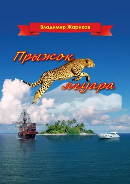 Владимир Жариков Прыжок ягуара обложка книги