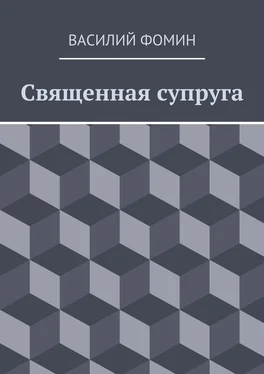 Василий Фомин Священная супруга обложка книги