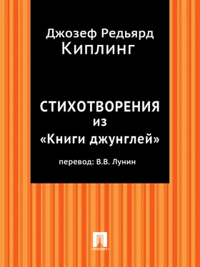 Редьярд Киплинг Стихотворения из «Книги джунглей» (в переводе В.В. Лунина) обложка книги