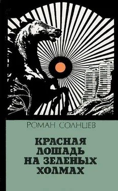 Роман Солнцев Красная лошадь на зеленых холмах обложка книги