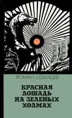 Роман Солнцев - Красная лошадь на зеленых холмах