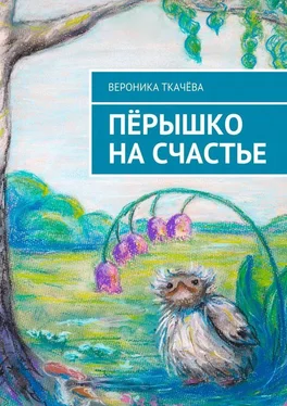 Вероника Ткачёва Пёрышко на счастье обложка книги