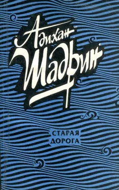 Адихан Шадрин Старая дорога обложка книги