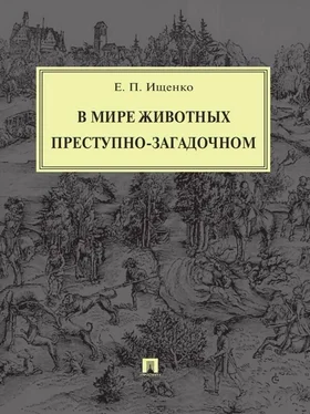 Евгений Ищенко В мире животных преступно-загадочном обложка книги