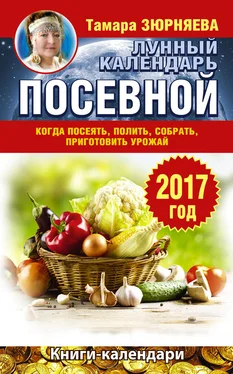 Тамара Зюрняева Лунный посевной календарь. Когда посеять, полить, собрать, приготовить урожай. 2017 год обложка книги