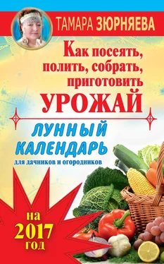 Тамара Зюрняева Лунный календарь для дачников и огородников на 2017 год. Как посеять полить, собрать, приготовить урожай обложка книги