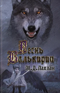 Марк Лахлан Песнь Валькирии обложка книги