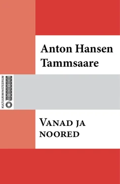 Anton Tammsaare Vanad ja noored обложка книги