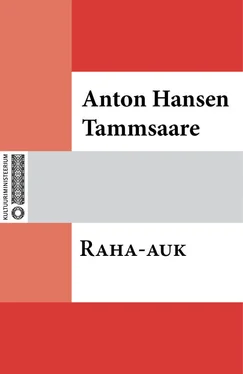 Anton Tammsaare Raha-auk обложка книги