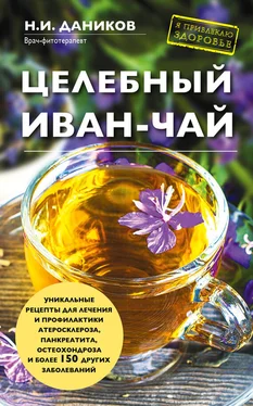 Николай Даников Целебный иван-чай обложка книги