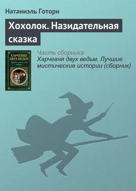 Натаниэль Готорн Хохолок. Назидательная сказка обложка книги