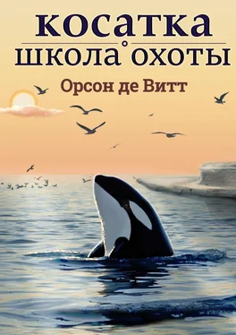 Орсон де Витт Косатка. Школа охоты обложка книги