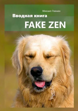 Михаил Глинин Fake Zen. Вводная книга обложка книги