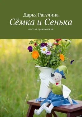 Дарья Рагулина Сёмка и Сенька. и все их приключения обложка книги