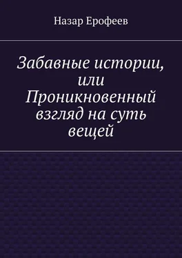 Назар Ерофеев Забавные истории, или Проникновенный взгляд на суть вещей обложка книги