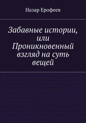 Назар Ерофеев - Забавные истории, или Проникновенный взгляд на суть вещей