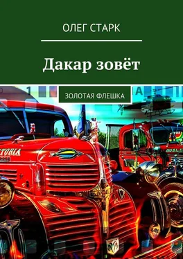 Олег Старк Дакар зовёт. Золотая флешка обложка книги