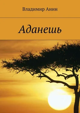 Владимир Анин Аданешь обложка книги