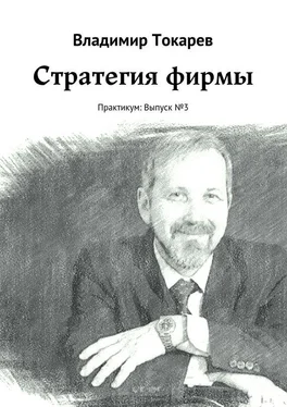 Владимир Токарев Стратегия фирмы. Практикум: Выпуск №3 обложка книги