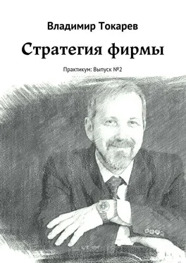 Владимир Токарев Стратегия фирмы. Практикум: Выпуск №2 обложка книги