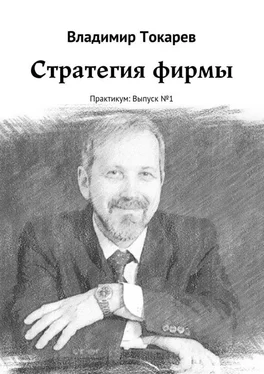 Владимир Токарев Стратегия фирмы. Практикум: Выпуск №1 обложка книги